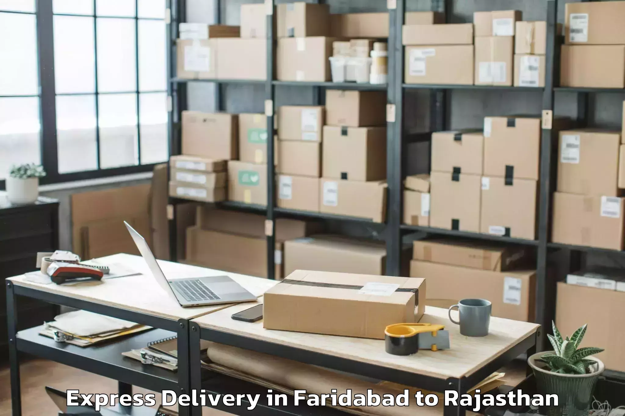 Affordable Faridabad to Bundi Express Delivery